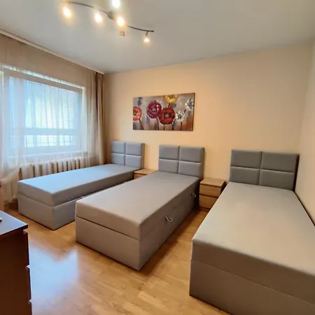 Musninku Near Akropolis * Vilnius