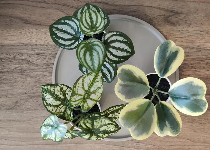 Musninku Near Akropolis Appartement *