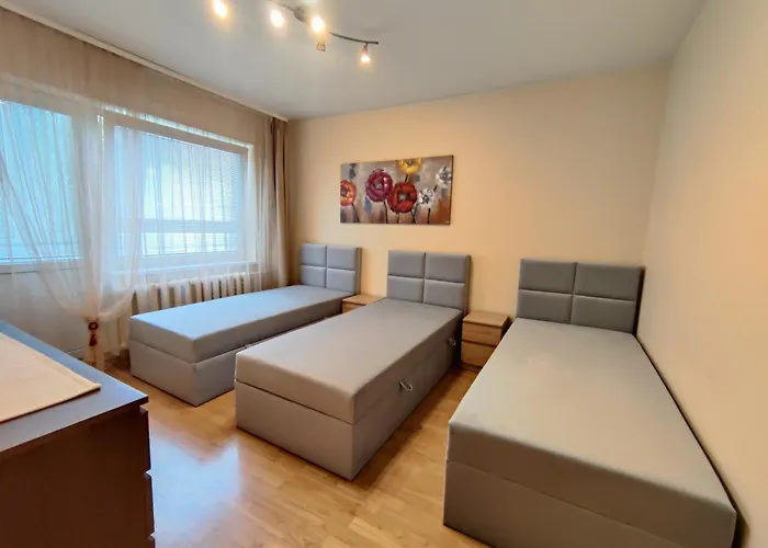 Musninku Near Akropolis * Vilnius